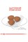 Корм сухий Mini Puppy Royal Canin для собак 8 кг
